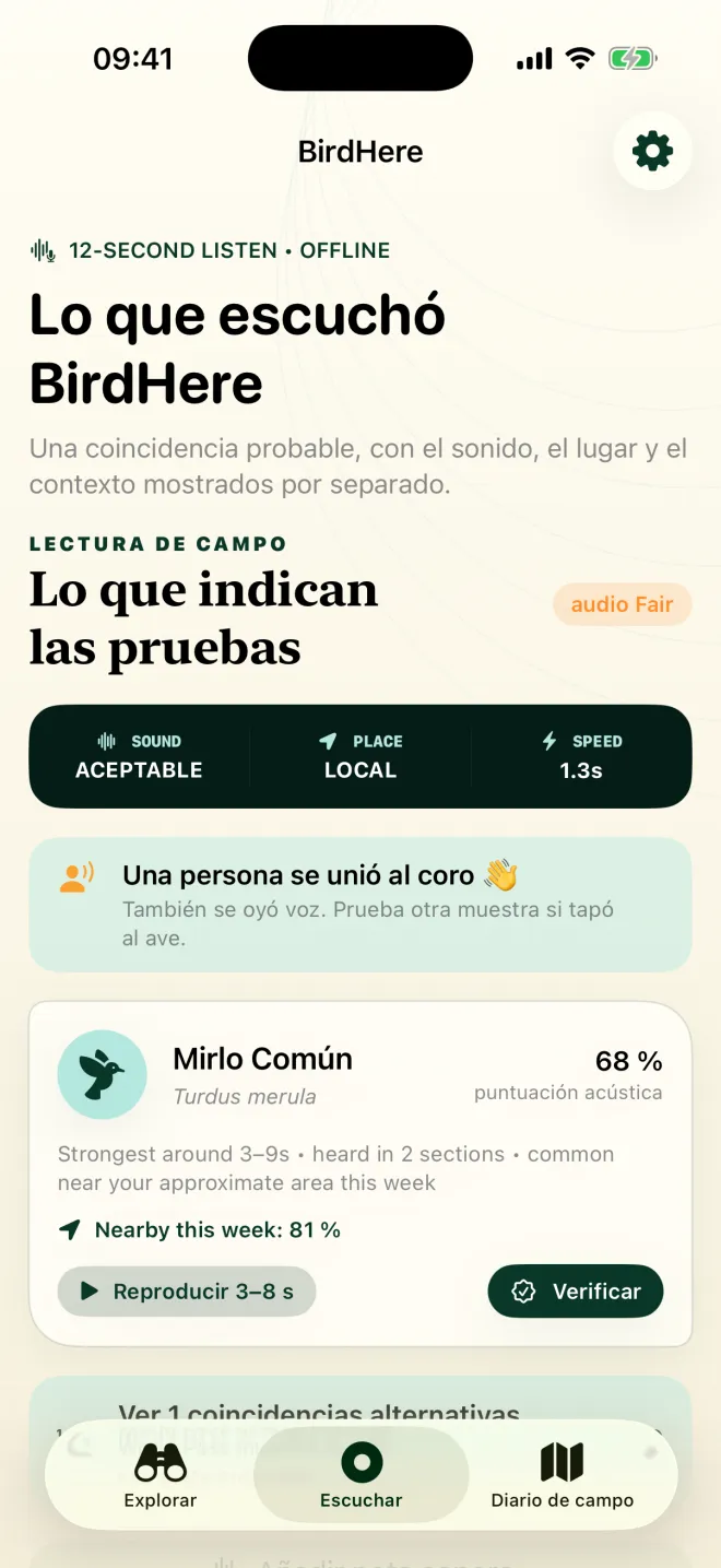 Pantalla de resultado de BirdHere: mirlo común, 68 % de puntuación acústica, calidad de grabación aceptable y un aviso de que también se oyó una voz humana