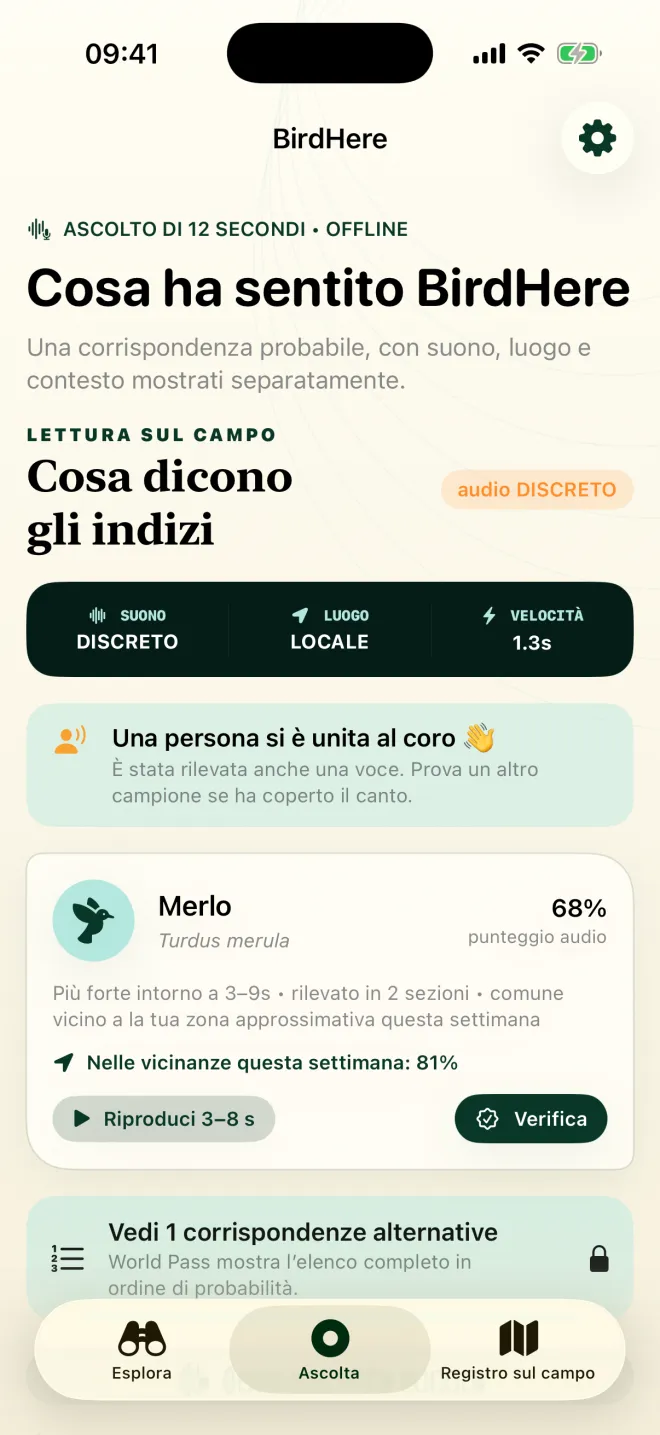 Schermata dei risultati di BirdHere: merlo, punteggio audio del 68%, qualità di registrazione discreta e una nota che segnala anche una voce umana
